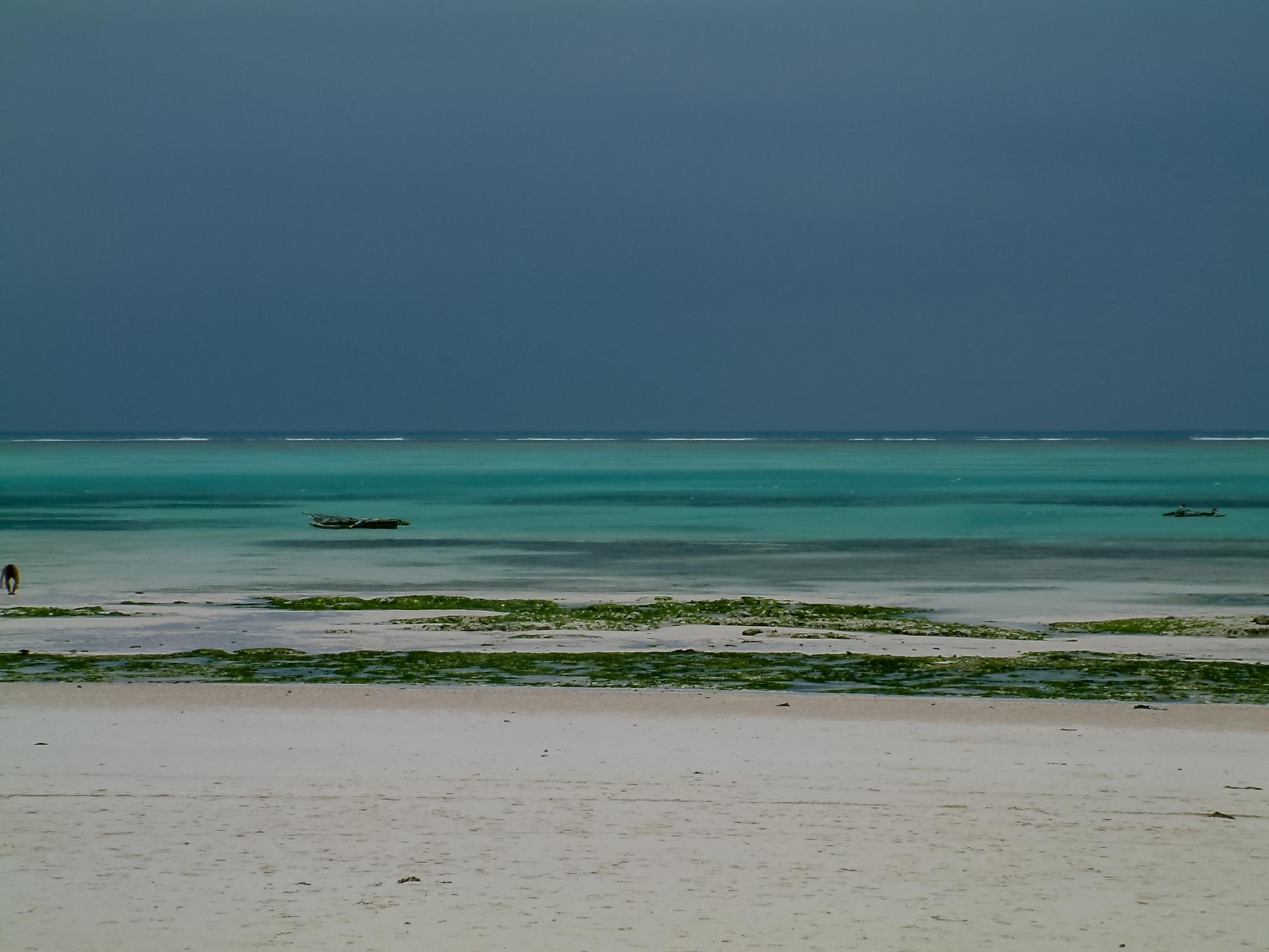 20040126   Zanzibar 055